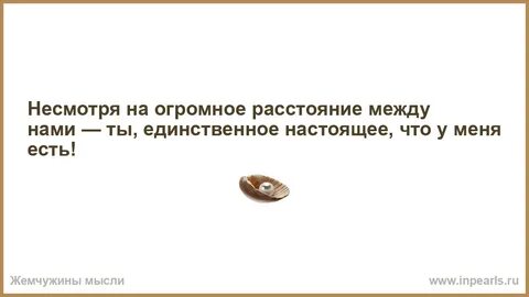 Не смотря на расстояние
