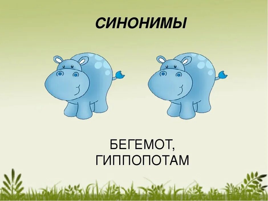 Синоним к слову детский. Бегемот синоним. бегемот гиппопотам синонимы. синонимы картинки. синонимы иллюстрации.