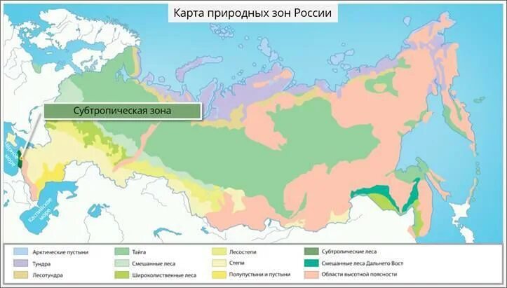 Природная зона россии самая маленькая по занимаемой. Зона субтропиков в России на карте. Карта природных зон России субтропики. Где расположены субтропики в России на карте. Карта природных зон России 4 класс субтропики.