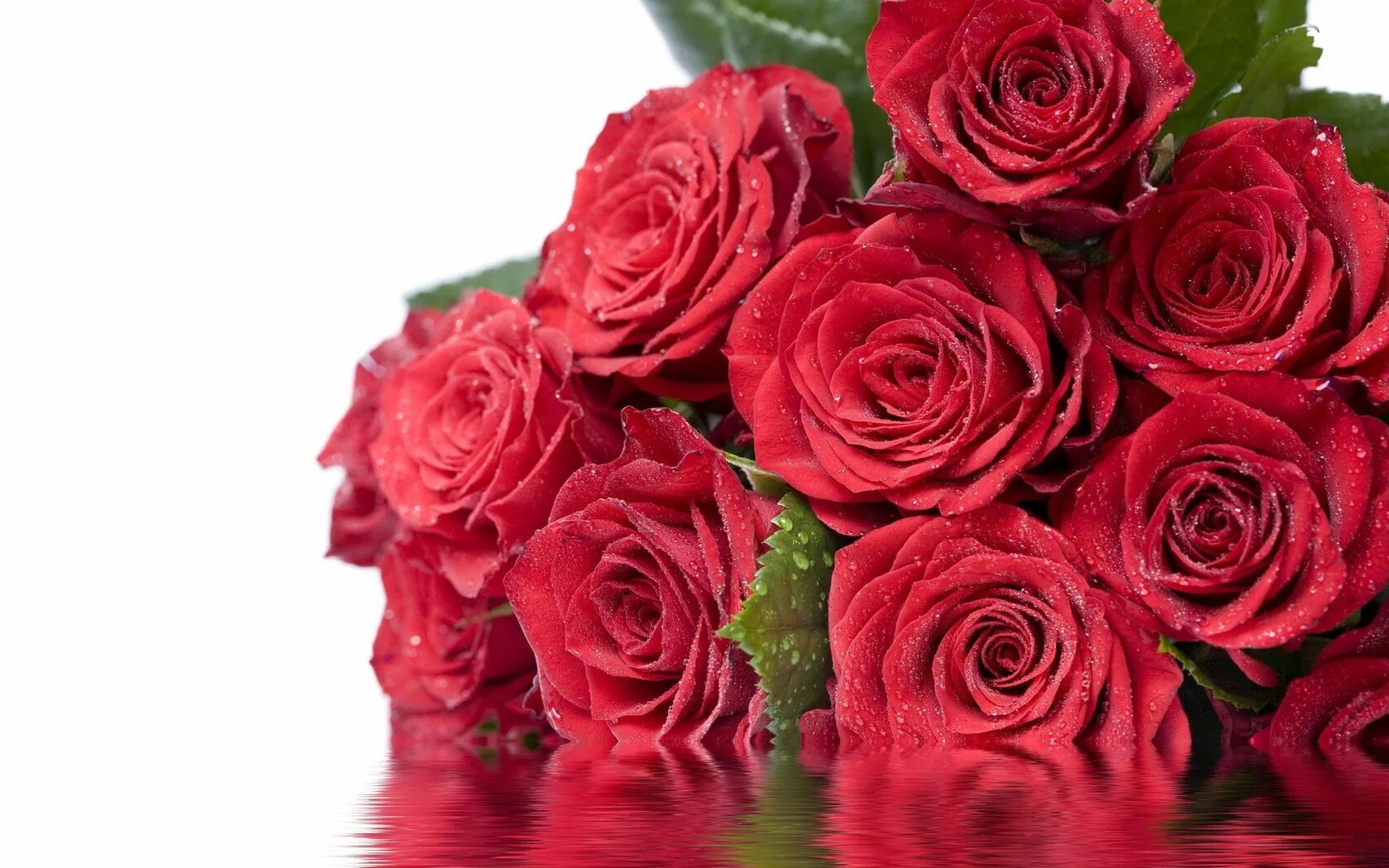 С 8 мартом будь всегда самой счастливой. Красивые цветы розы. Открытки с розами. Открытки с цветами красивые. Красивые красные розы.