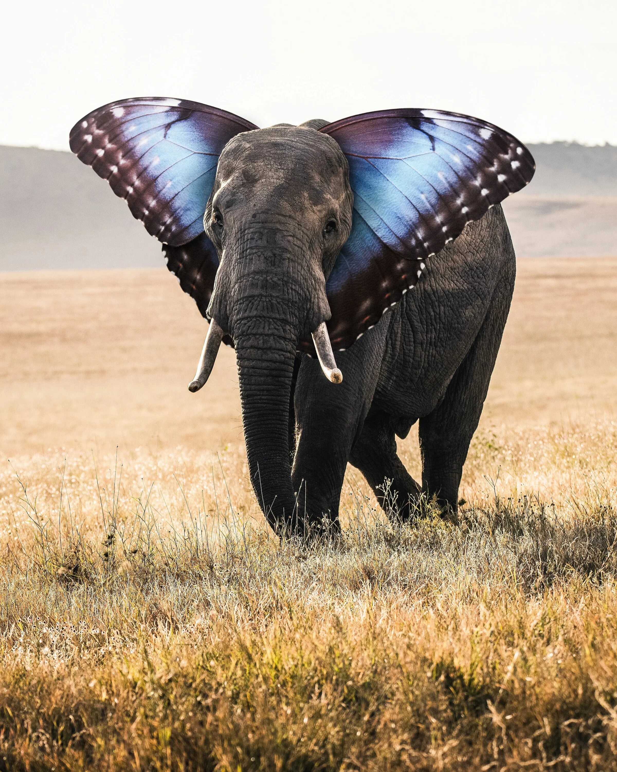 Amazing creatures 5