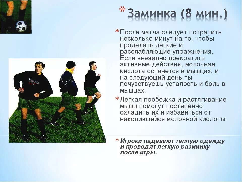 Вариантом заминки может быть. Упражнения для заминки. разминка после тренировки. заминка упражнения с описанием. план заминки после тренировки.