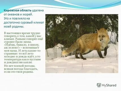 Киров климатические условия