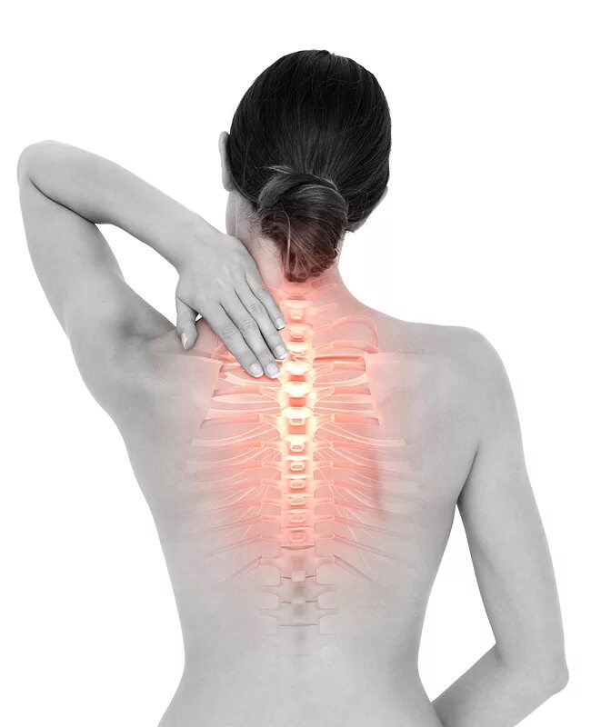 Болит спина в пояснице. Боль в спине. Боль в пояснице. Грудной отдел позвоночника. Боль в пояснице.