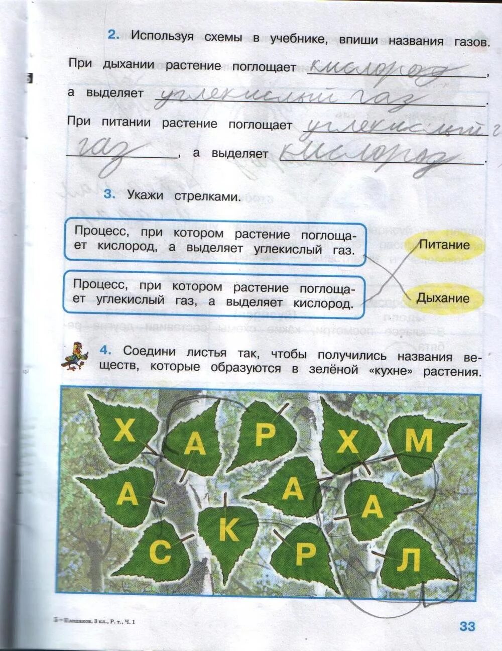 Окружающий мир страница 13 задание 3. Гдз по окружающему миру 3 класс рабочая тетрадь 1 часть плешаков. окружающий мир 1 класс 1 часть рабочая тетрадь стр 37 номер 3 ответы. окружающий мир 3 класс рабочая тетрадь 1 часть плешаков стр 33. рабочая тетрадь по окружающему миру 3 класс.