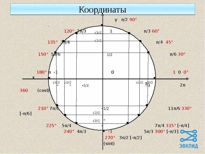 5π 6 π 6. Тригонометрическая окружность 4п. Тригонометрический круг -3π/2. Числовая окружность тригонометрия 3п. Синус 45 тригонометрический круг.