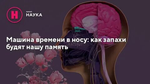 Попали запахи