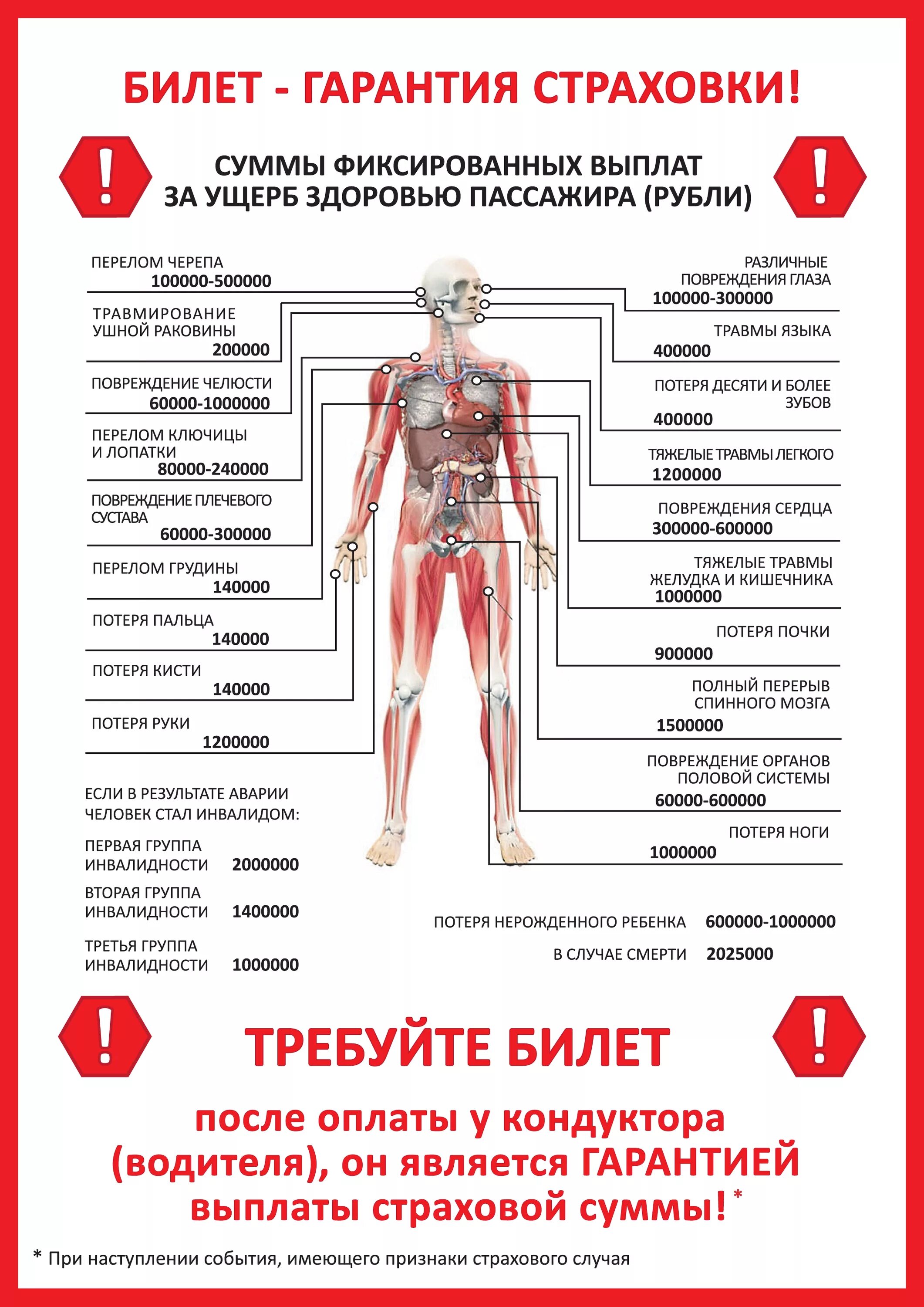 Самый дорогой орган человека. Выплата страховки за переломы. Сумма страховых выплат за перелом руки. Выплаты за перелом по страховке. Страховка за перелом ноги сумма.