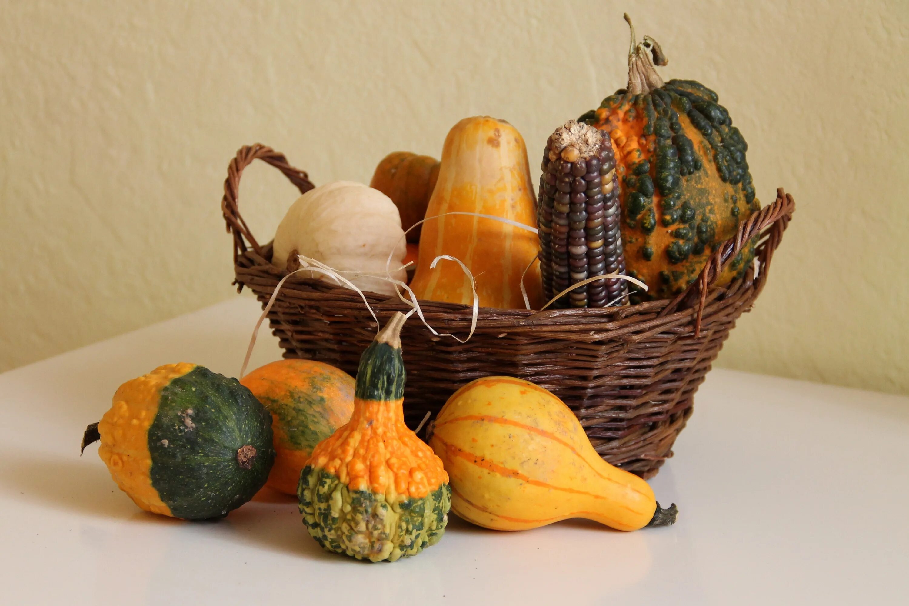 Цветок тыквы. Композиции с декоративными тыквами. Тыква сорт хэллоуин. Композиция в тыкве. Осенние композиции с декоративными тыквами.