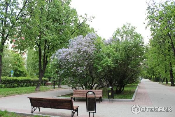 Сиреневый бул. Сиреневый бульвар троицк. Семеновский сквер москва. Сиреневый бульвар москва район измайлово. Северное измайлово сиреневый бульвар.