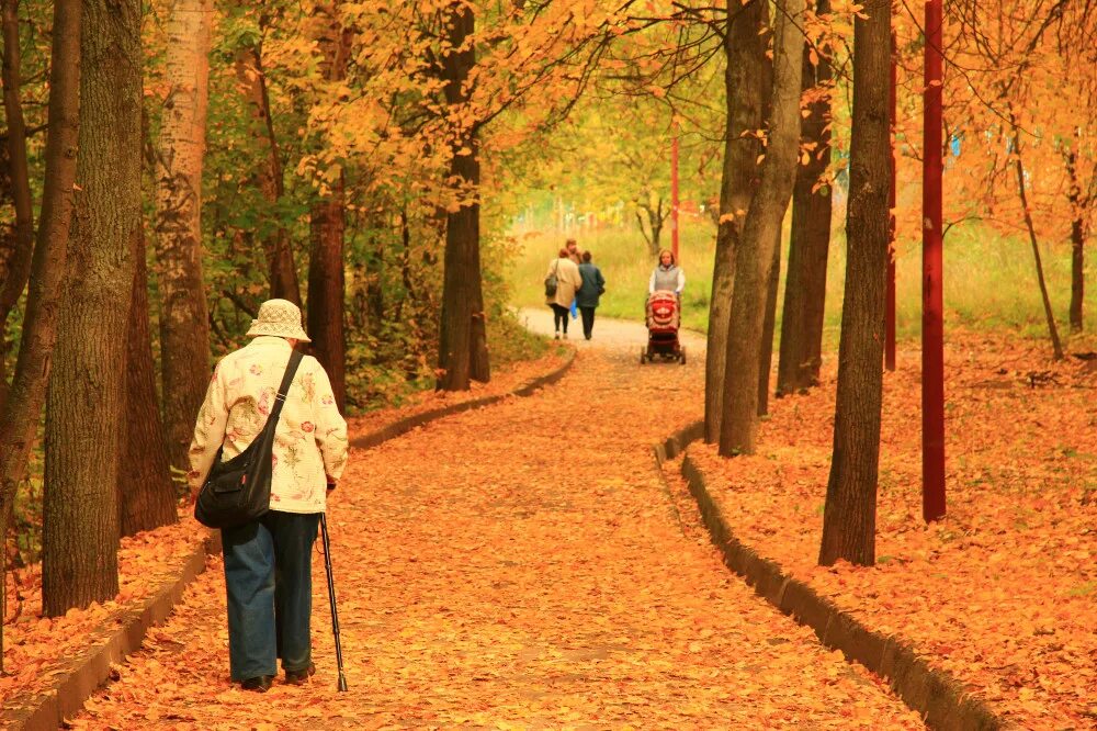 В парк пришла осень. Осенний Возраст. Осень старость. Бабушка осень. Возраст осени прекрасный.