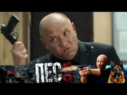 Пес премьер