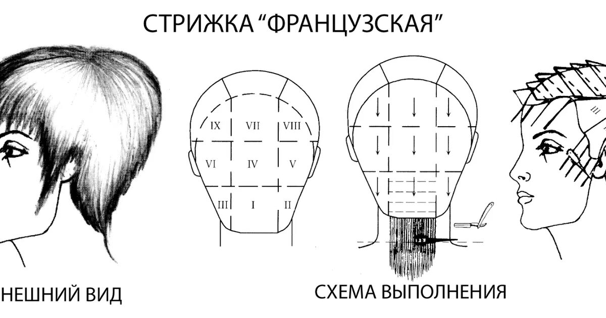 Схема выполнения. Стрижка боб-гарсон на короткие волосы схема. стрижка гарсон технология выполнения со схемами. схема выполнения стрижки сессун. французская стрижка женская схема.