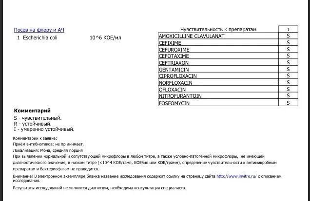 Бак посев мочи Escherichia coli 10 7 кое/мл. Бак посев мочи Escherichia coli 10 4. Бак посев мочи Escherichia coli 10 5. Бак посев мочи Escherichia coli 10 3 кое/мл. Escherichia coli что это у мужчин