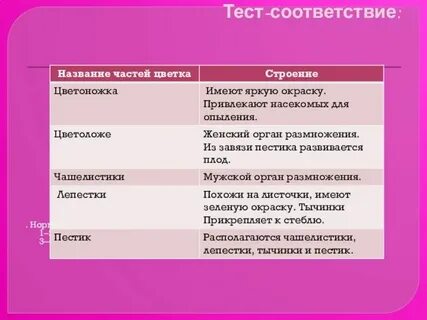 Анализ соответствий пример