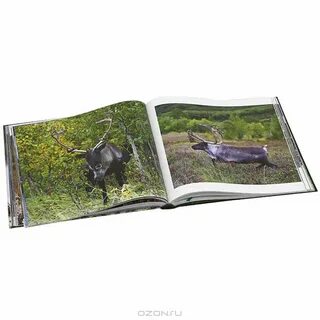 Книга дикая природа