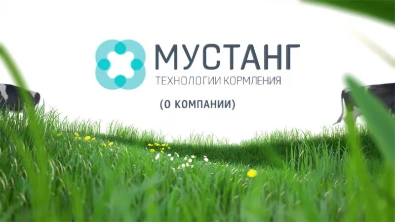 Выставка agroworld. Премикс мустанг для коров. Мустанг технологии кормления логотип. Мустанг компания. Мустанг технологии кормления.
