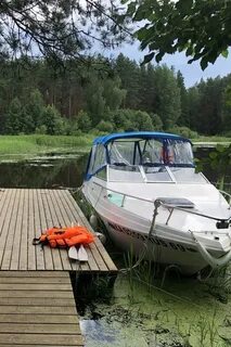 Улей тверская область