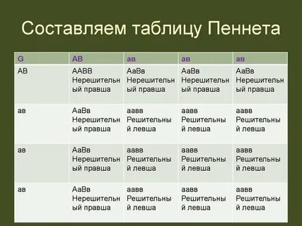 Решетка пинета