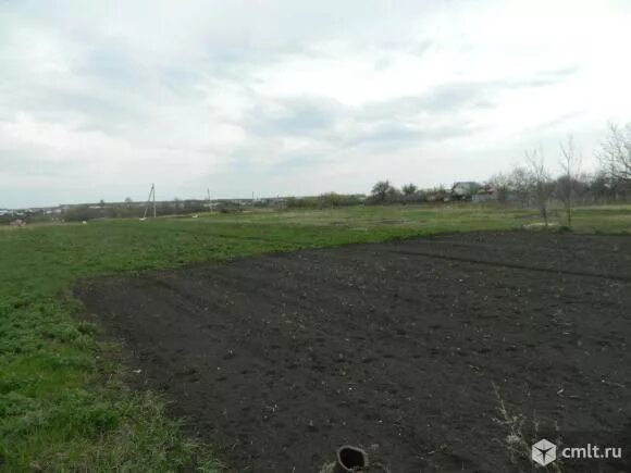Петино воронежская область лес. Погода петино воронеж. Воронеж петино инфраструктура. Петино воронежская область. Погода петино воронеж.