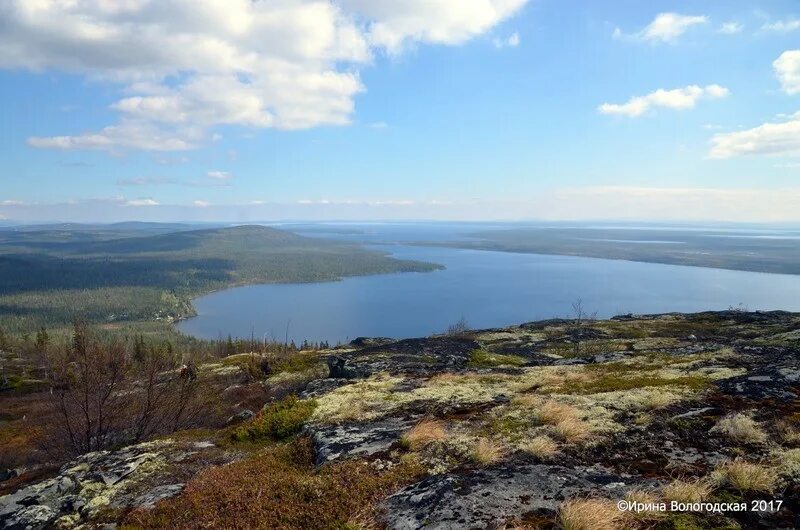 Мурманский календарь. Сотрудники Лапландского заповедника добрались на место раб