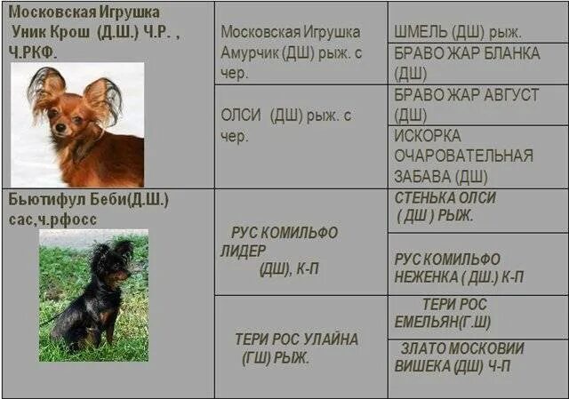 Собачье отчество