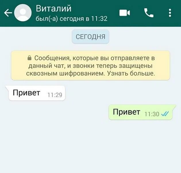 Чат переписка новое. WHATSAPP переписка. Сообщение в чате. Макет переписки в ватсапе. Макет сообщения в вотсапе.