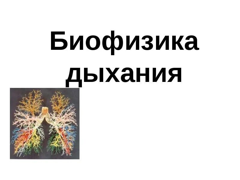 Биофизика реферат. Биофизика дыхания. биофизика. биофизика дыхательной системы. biophysics.