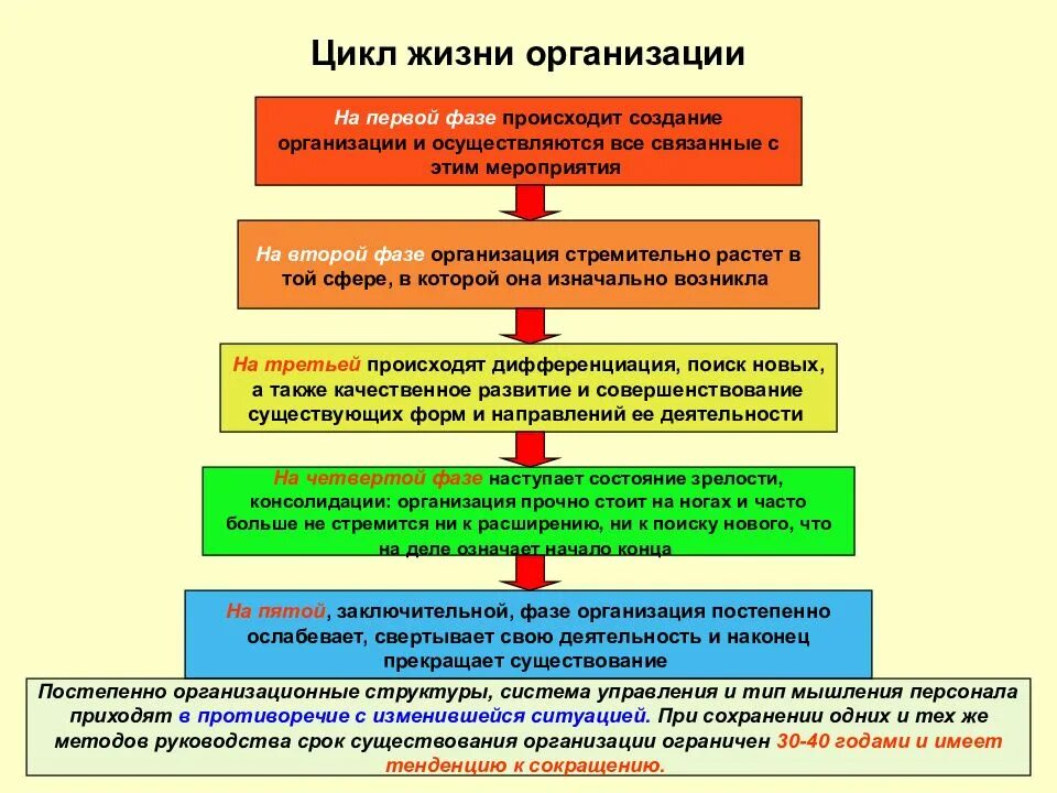 8 циклов жизни