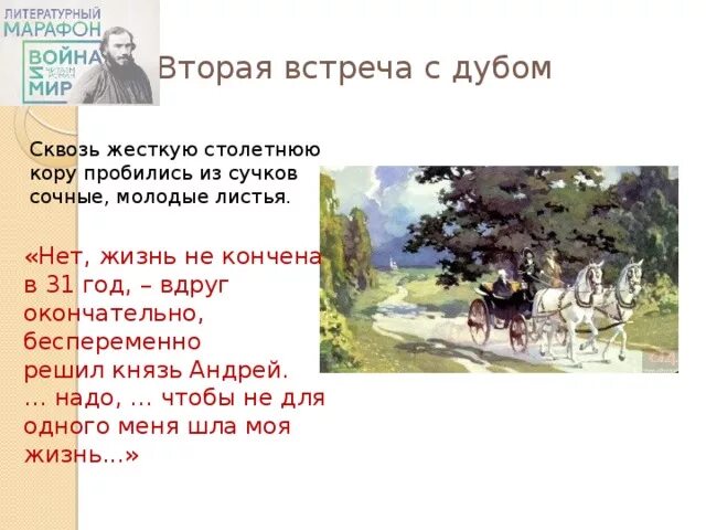 Вторая встреча андрея с дубом. Вторая встреча князя Андрея с дубом. Встреча кн Андрея с дубом. 2 Встреча с дубом Андрея Болконского. Встреча с дубом Андрея Болконского.