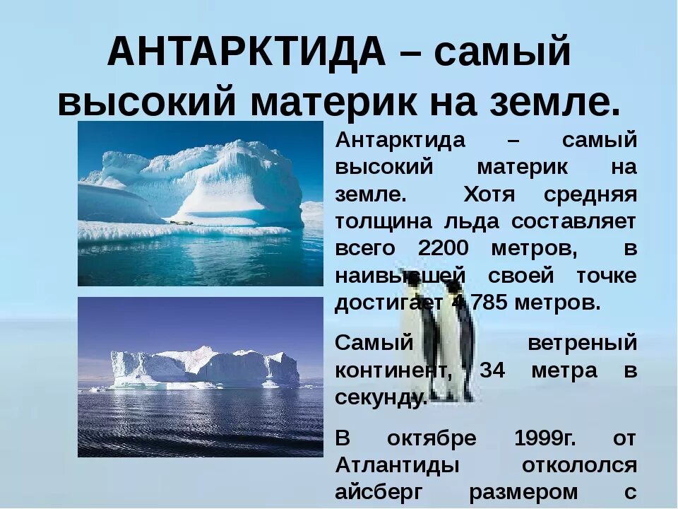 Сообщение о животных антарктиды. Антарктида материк 2 класс краткое описание для детей. Сообщение о Антарктиде. Сообщение пол Антарктиду. Антарктида доклад.