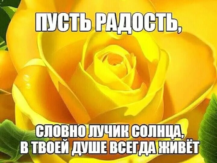 Пусть будет солнышко в душе. Солнышка в душе и радости на сердце. Пусть в вашей душе всегда светит солнце. Пусть в душе будет солнечно. Пусть на душе всегда будет солнечно.