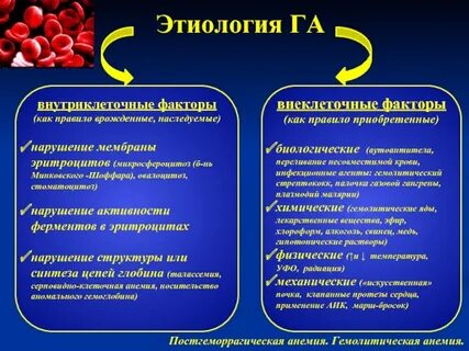 Генез анемии