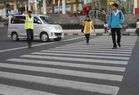 Автобус пешеходный переход