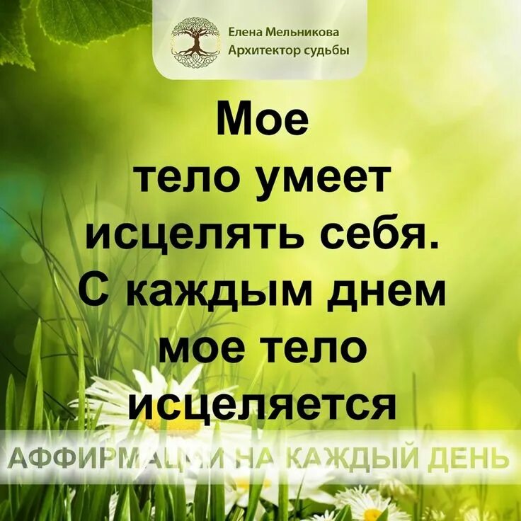 Аффирмации на каждый день. Позитивные аффирмации на каждый день. Позитивные аффирмации в картинках. Аффирмация на каждый день позитивное. Аффирмации мысли