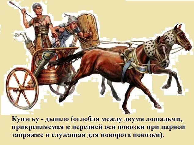 Что такое дышло. Дышло оглобля. дышло между лошадьми. оглобля между лошадьми. дышло колесницы.