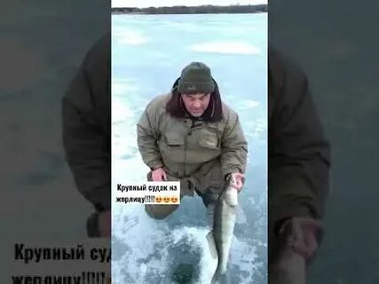 Рыбак поймал леща щуку