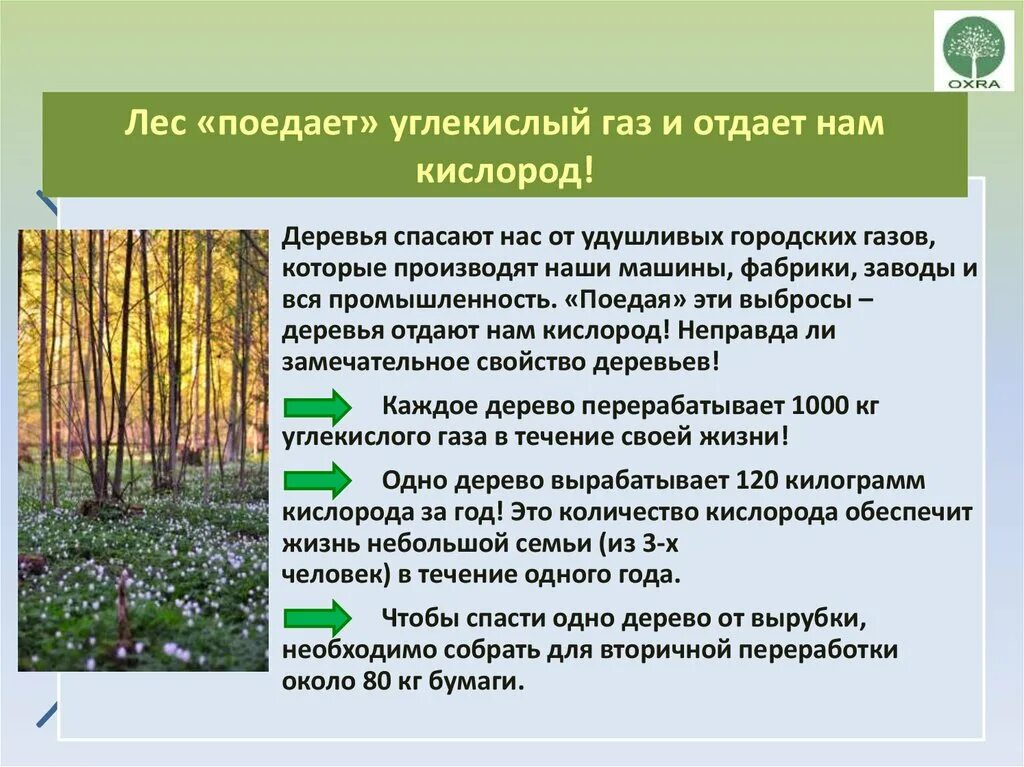 Деревьям нужен воздух. Лес поглощает углекислый ГАЗ И выделяет кислород. Растения влияющие на окружающую среду. Какое дерево выделяет больше всего кислорода. Деревья авлеляют углекислый ГАЗ.