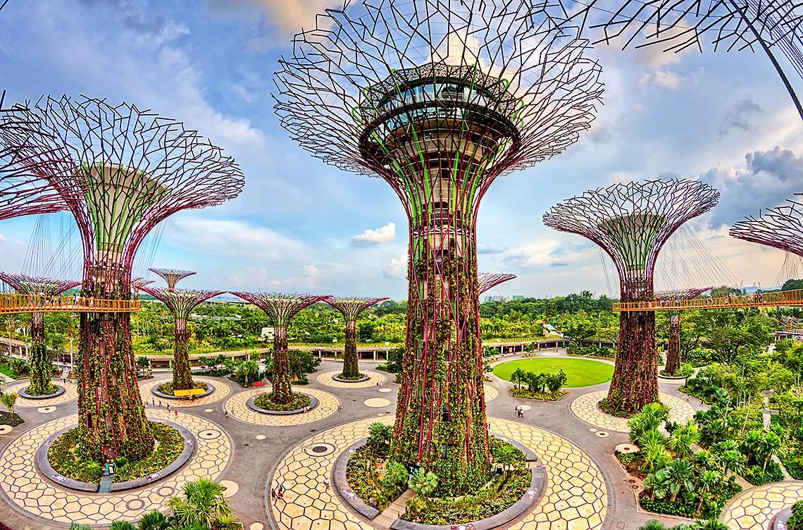 Сад представлял. Gardens by the bay сингапур. сингапур роща сверхдеревьев. сады у залива, сингапур архитектура. необычный парк «сады у залива» в сингапуре.