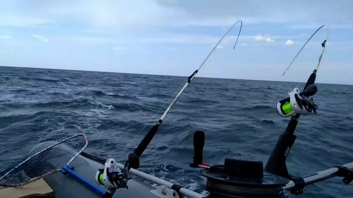 Троллинг симы в приморье. Троллинг симы. Троллинг симы в приморском крае. Троллинг симы владивосток. Сима в приморье троллинг.