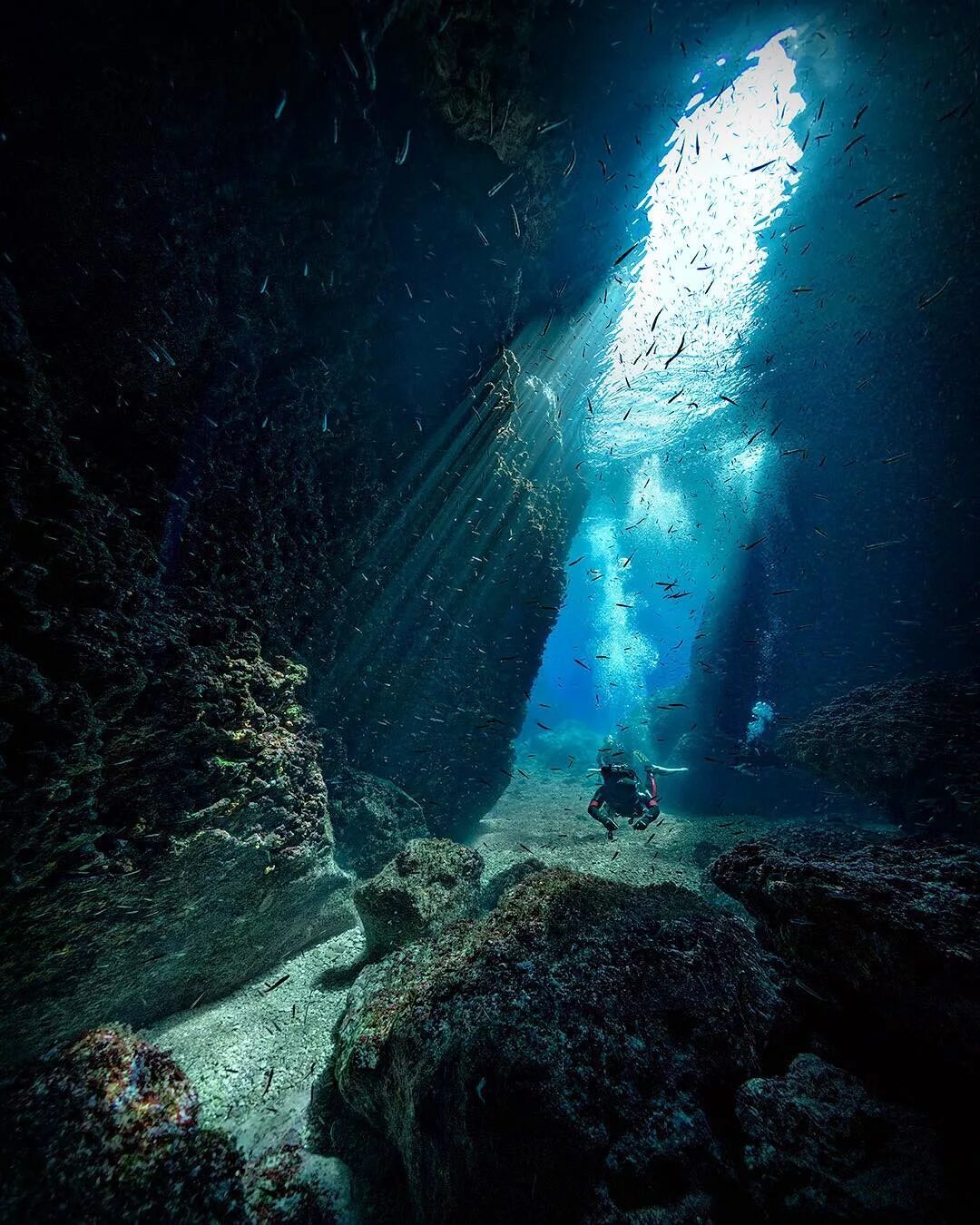 Неизведанные воды. Океаны. Глубина. Морские глубины. Океанские глубины. Подводные пещеры.