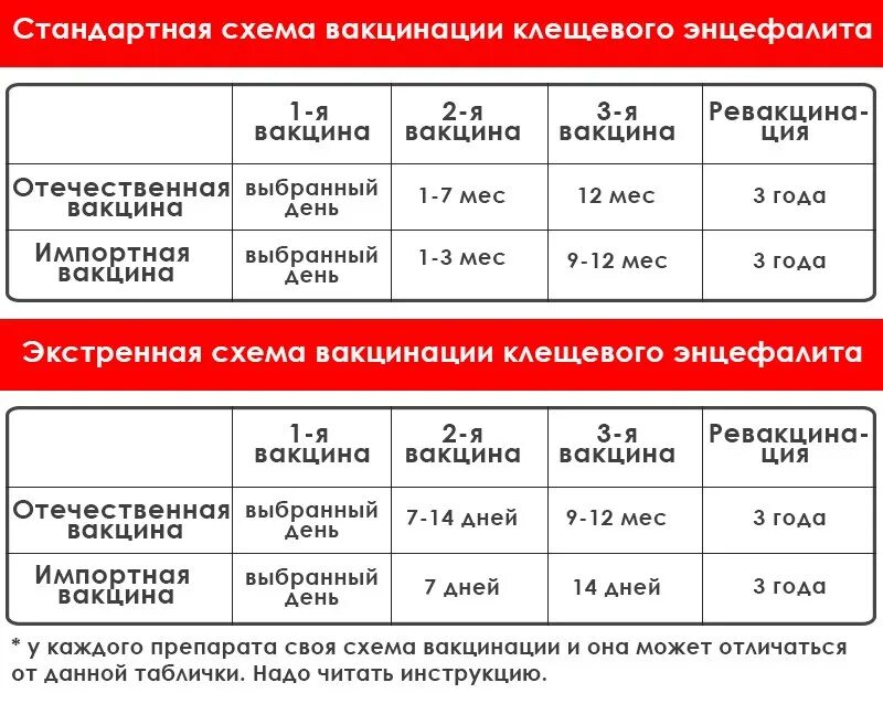 Противоклещевая вакцина. Клещевой энцефалит вакцинация схема. Стандартная схема вакцинации клещевого энцефалита. V2 клещевой энцефалит прививка. Прививка о клещевого энцефалита схема вакцинации.