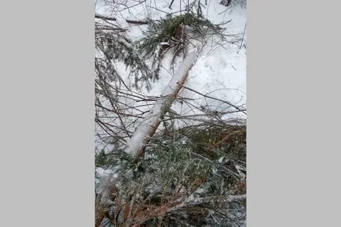 Вчера ели