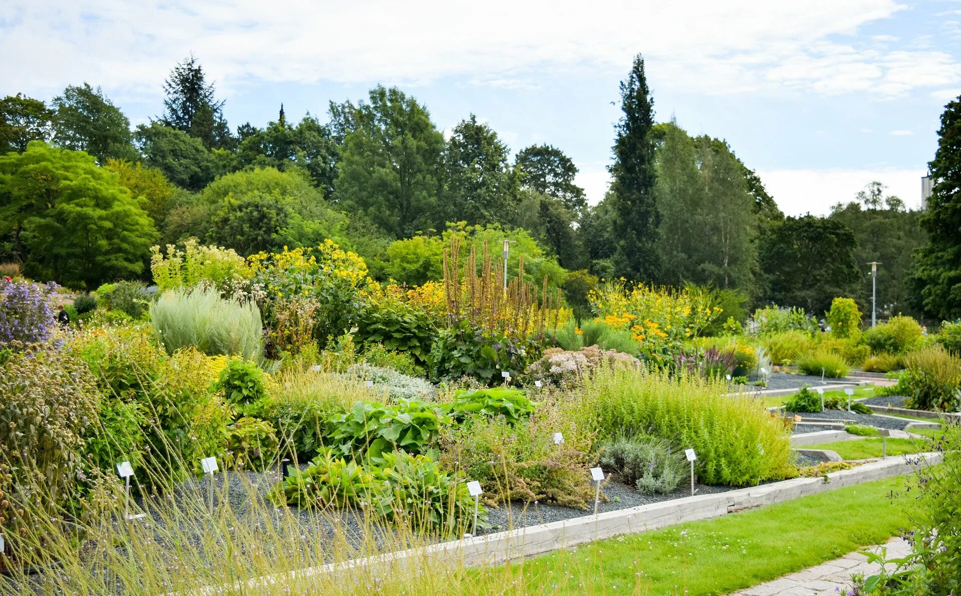 Ботанический сад уро ран екатеринбург. Ботанические сады уральского отделения ран. Ботанический сад екатеринбург. Ботанический сад екатеринбург. Ботанический сад уро ран.