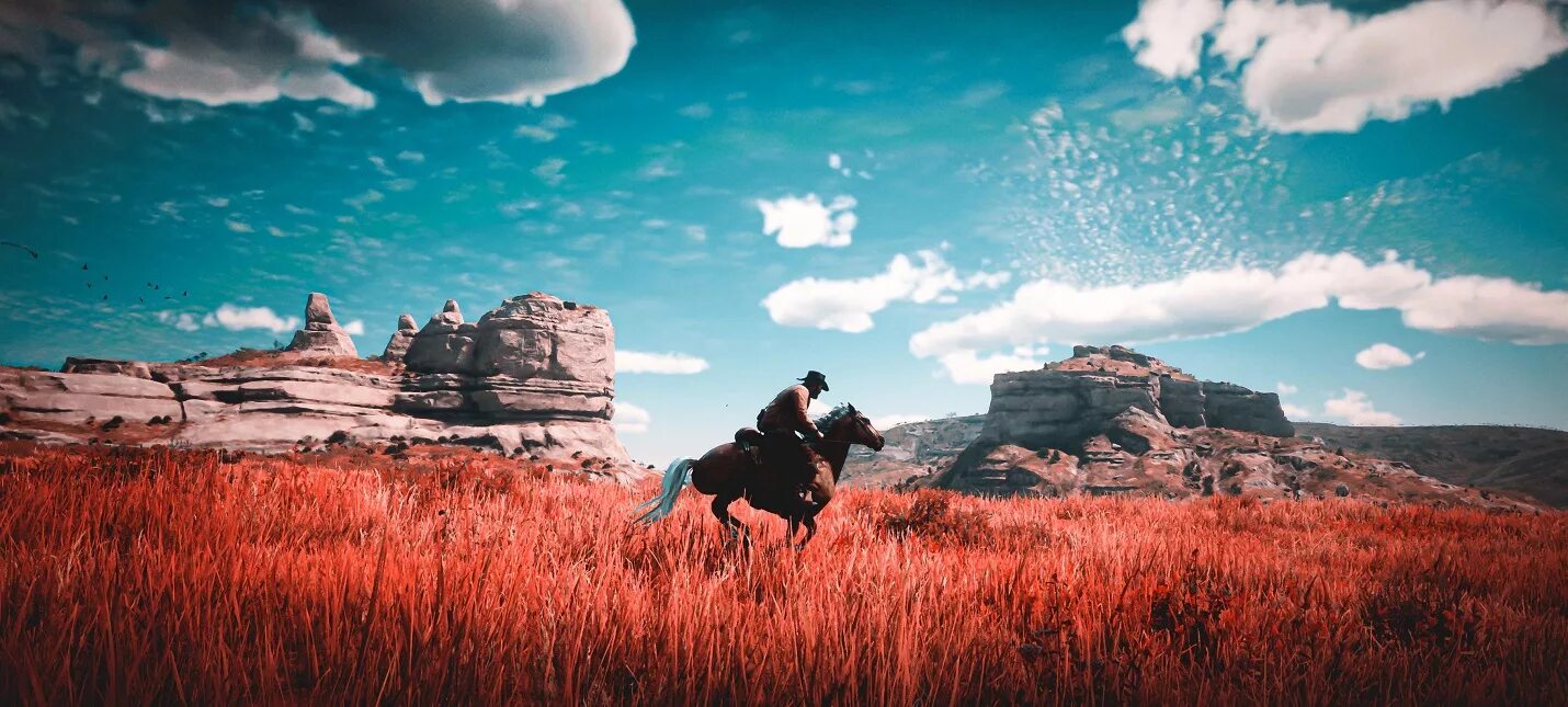 Адлер рдр. Red Dead Redemption 2 пейзажи. Ред дед редемпшн 2 мир. Ред дед редемпшен 2 пейзажи.