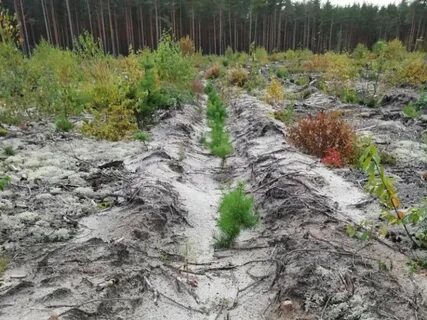 Экология региона нижегородский