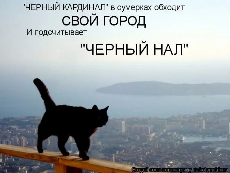 буффало (нью-йорк). город в блендер 3д. она создавала города. она создавала города. город иннополис в татарстане.