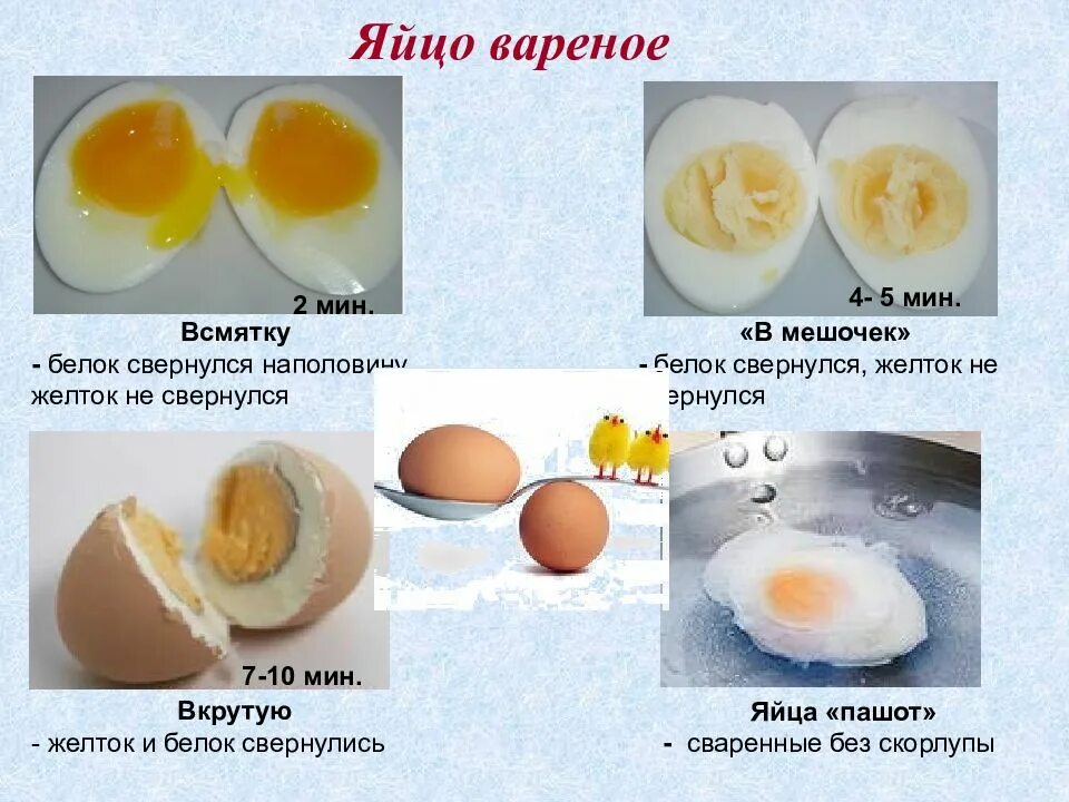 Время варки яиц вкрутую. Яйцо всмятку и пашот разница. варка яиц. виды отваренных яиц. сколько варить яйца.