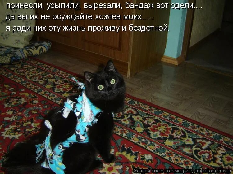 грех ли усыплять животное