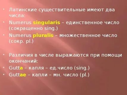 Правильная словарная форма существительного